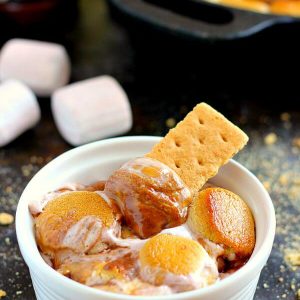 Loaded with creamy peanut butter, luscious dark chocolate peanut butter, and topped with toasted marshmallows, this Chocolate Peanut Butter S'mores Dip is the perfect summer treat!
