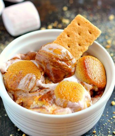 Loaded with creamy peanut butter, luscious dark chocolate peanut butter, and topped with toasted marshmallows, this Chocolate Peanut Butter S'mores Dip is the perfect summer treat!