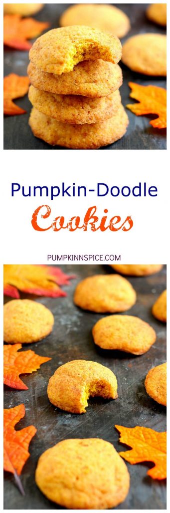 Soft, thick, and bursting with cinnamon and sugar, these Pumpkin-Doodle Cookies are full of pumpkin flavor. They're easy to make and the perfect fall treat to satisfy your pumpkin and cinnamon cravings!