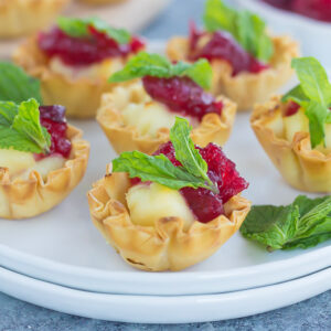 These Cranberry Brie Bites contain just four ingredients and can be prepped and ready to be devoured in less than 20 minutes. This easy appetizer is sweet, savory, and perfect for entertaining during the holiday season!