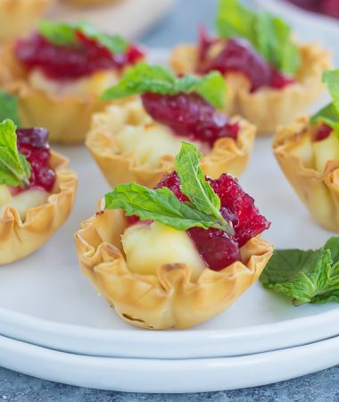 These Cranberry Brie Bites contain just four ingredients and can be prepped and ready to be devoured in less than 20 minutes. This easy appetizer is sweet, savory, and perfect for entertaining during the holiday season!