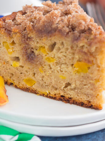 With juicy peaches, spices, and peach yogurt for extra taste and texture, this Fresh Peach Cake bakes up light, moist and delicious!