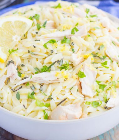 lemon-herb-orzo-salad-chicken-9
