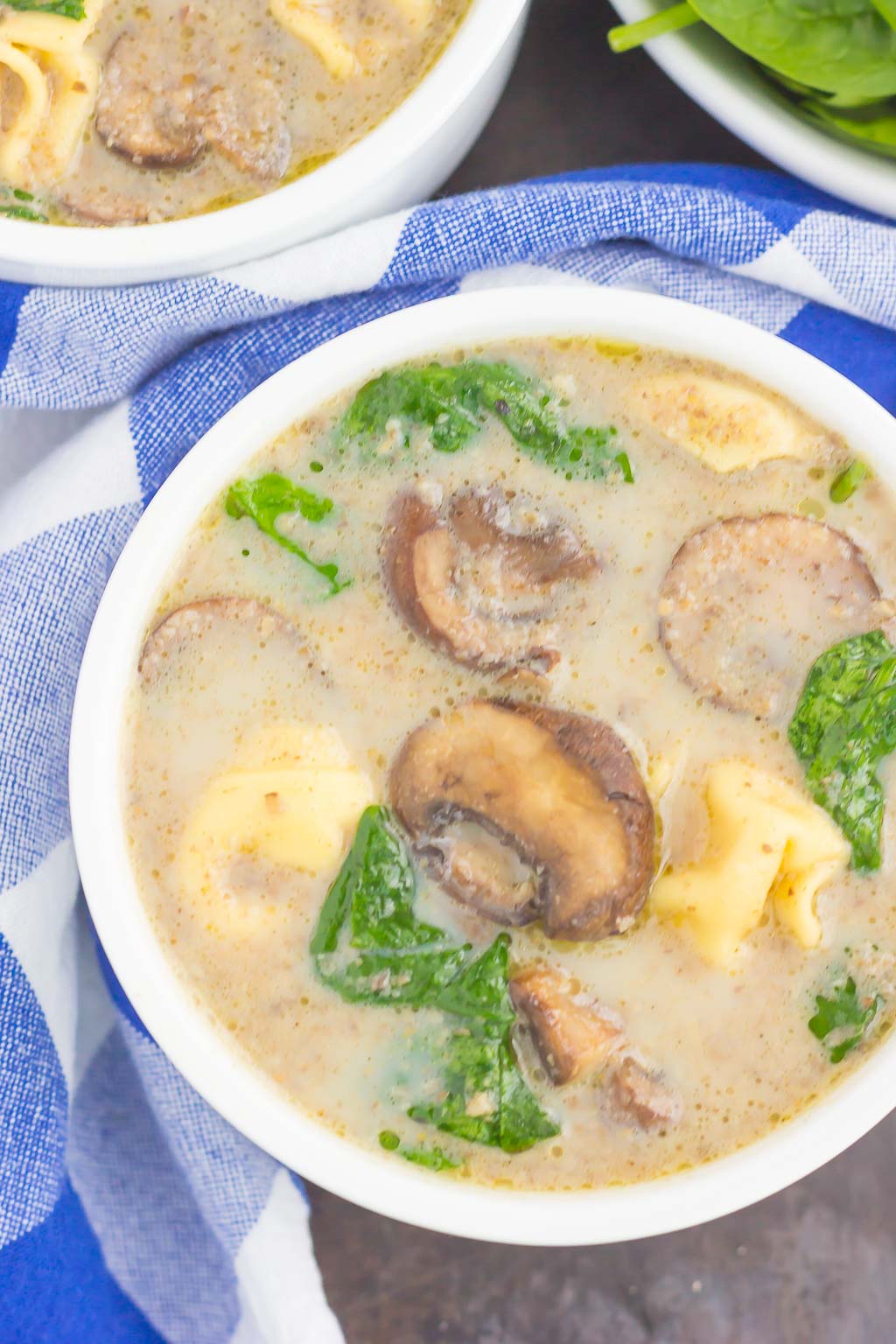 This Creamy Mushroom and Spinach Tortellini Soup is made in one pot and ready in just 30 minutes. Packed with fresh mushrooms, cheese tortellini, and baby spinach, this soup is creamy, comforting, and will warm you right up!