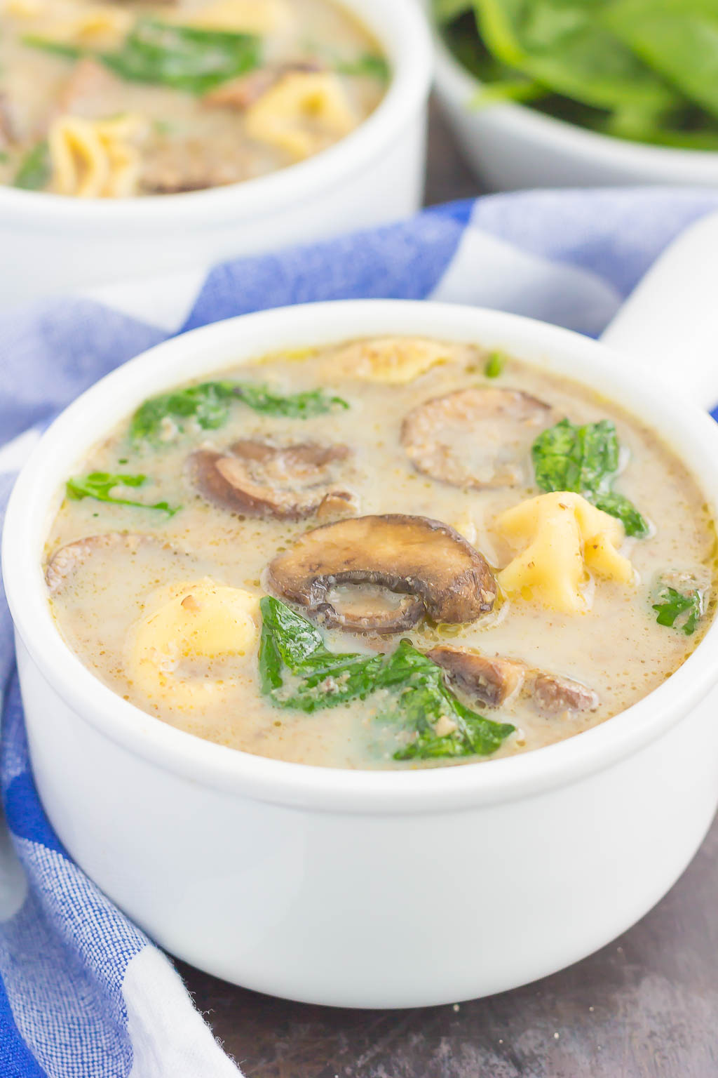 This Creamy Mushroom and Spinach Tortellini Soup is made in one pot and ready in just 30 minutes. Packed with fresh mushrooms, cheese tortellini, and baby spinach, this soup is creamy, comforting, and will warm you right up!