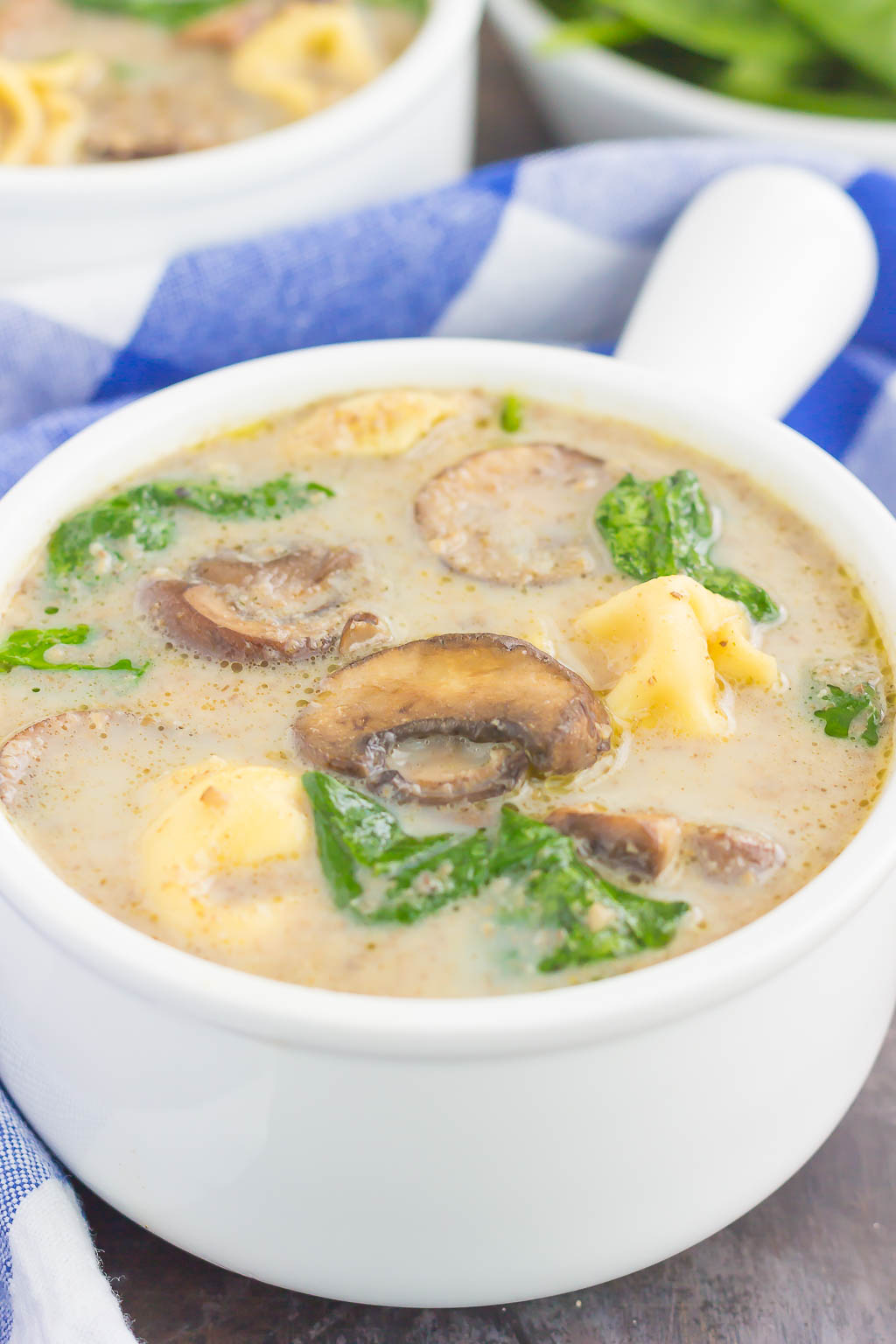 This Creamy Mushroom and Spinach Tortellini Soup is made in one pot and ready in just 30 minutes. Packed with fresh mushrooms, cheese tortellini, and baby spinach, this soup is creamy, comforting, and will warm you right up!