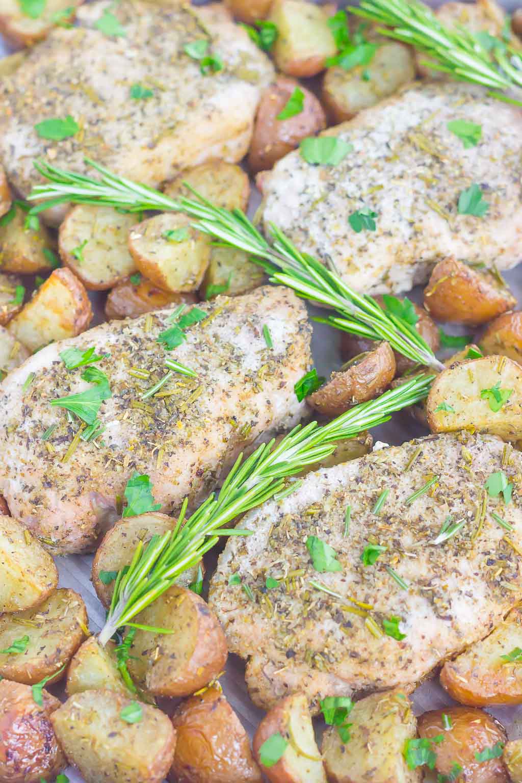 baked pork chops and potatoes with fresh rosemary 