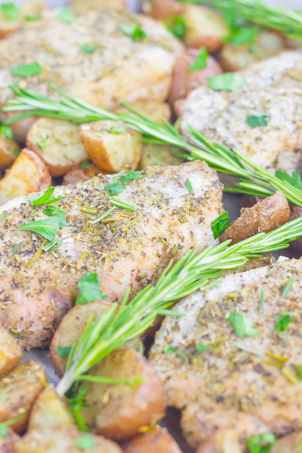 baked pork chops with potatoes topped with fresh rosemary sprigs 