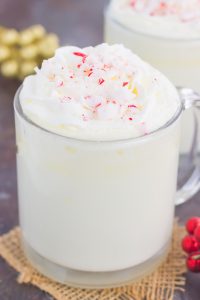 cup of white hot chocolate with peppermint