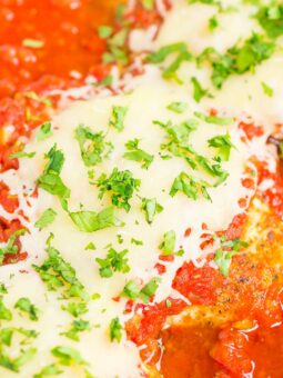 Baked Salsa Chicken is an easy, four ingredient dish that's made in just one pan. Tender chicken is sprinkled with taco seasoning and then baked with salsa and topped with melted cheese. Fast, fresh, and flavorful, it's a hearty meal that the whole family will enjoy! #chicken #salsa #salsachicken #bakedchicken #chickendinner #chickenrecipe #dinner #recipe