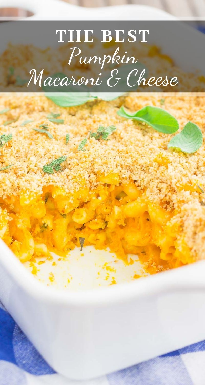 Pumpkin Mac and Cheese {So Creamy!} Pumpkin 'N Spice