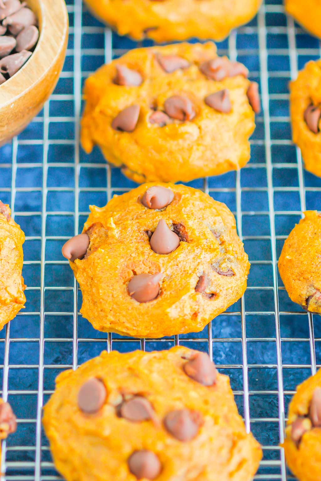 Pumpkin Chocolate Chip Cookies are an easy, one bowl recipe that's ready in no time. These cookies bake up soft and cakey, with hints of pumpkin and sweet chocolate. It's the perfect combination for an autumn sweet treat! #cookies #pumpkincookies #pumpkinchocolatechipcookies #pumpkindessert #falldessert #pumpkinrecipe