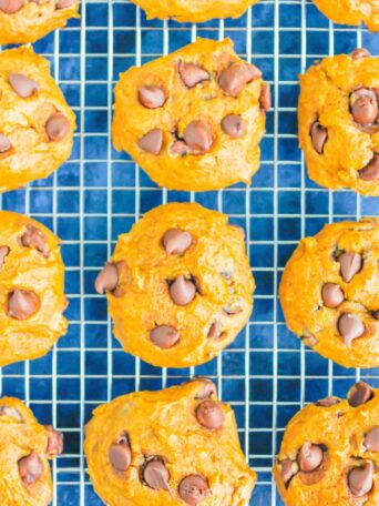 Pumpkin Chocolate Chip Cookies are an easy, one bowl recipe that's ready in no time. These cookies bake up soft and cakey, with hints of pumpkin and sweet chocolate. It's the perfect combination for an autumn sweet treat! #cookies #pumpkincookies #pumpkinchocolatechipcookies #pumpkindessert #falldessert #pumpkinrecipe