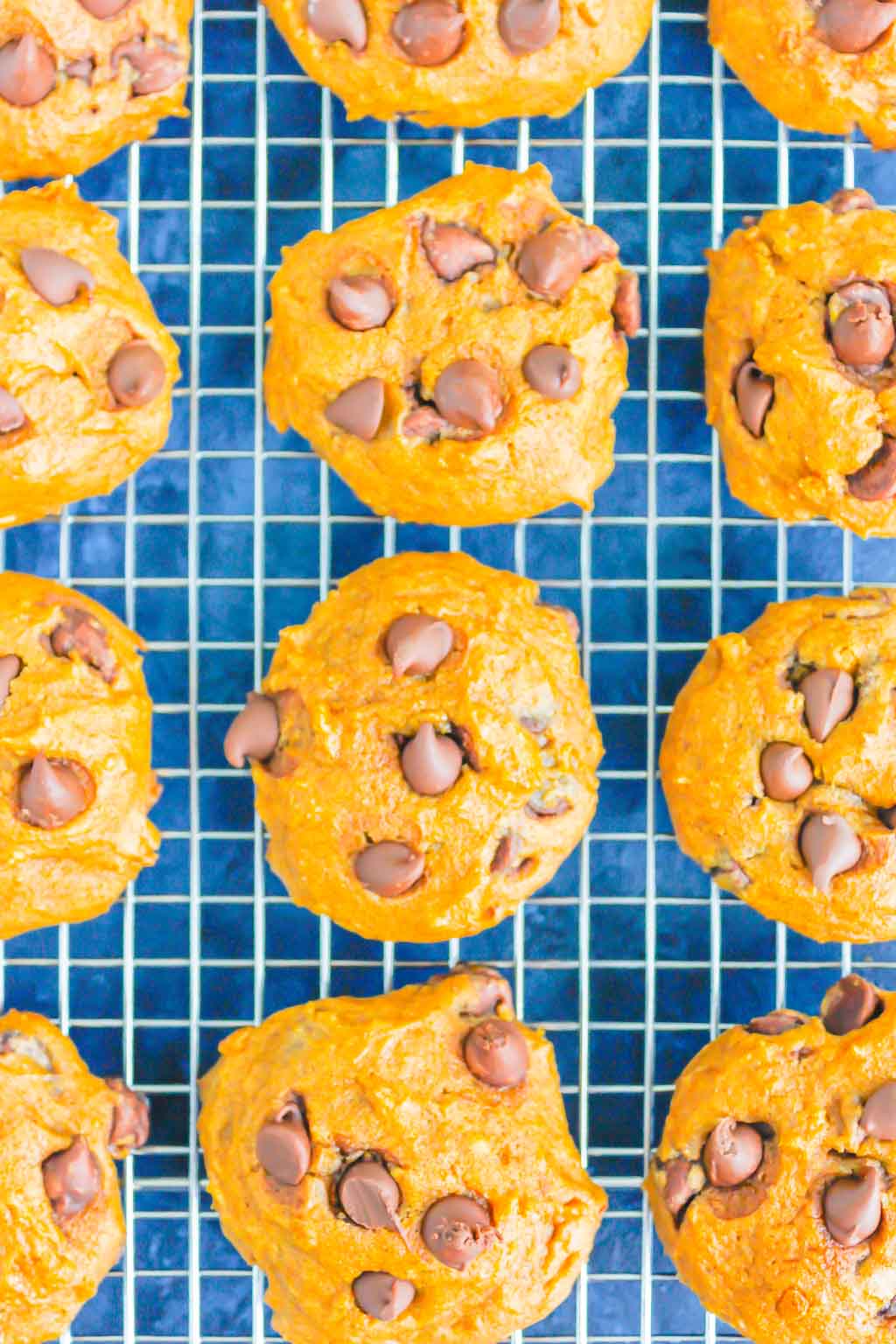 Pumpkin Chocolate Chip Cookies are an easy, one bowl recipe that's ready in no time. These cookies bake up soft and cakey, with hints of pumpkin and sweet chocolate. It's the perfect combination for an autumn sweet treat! #cookies #pumpkincookies #pumpkinchocolatechipcookies #pumpkindessert #falldessert #pumpkinrecipe