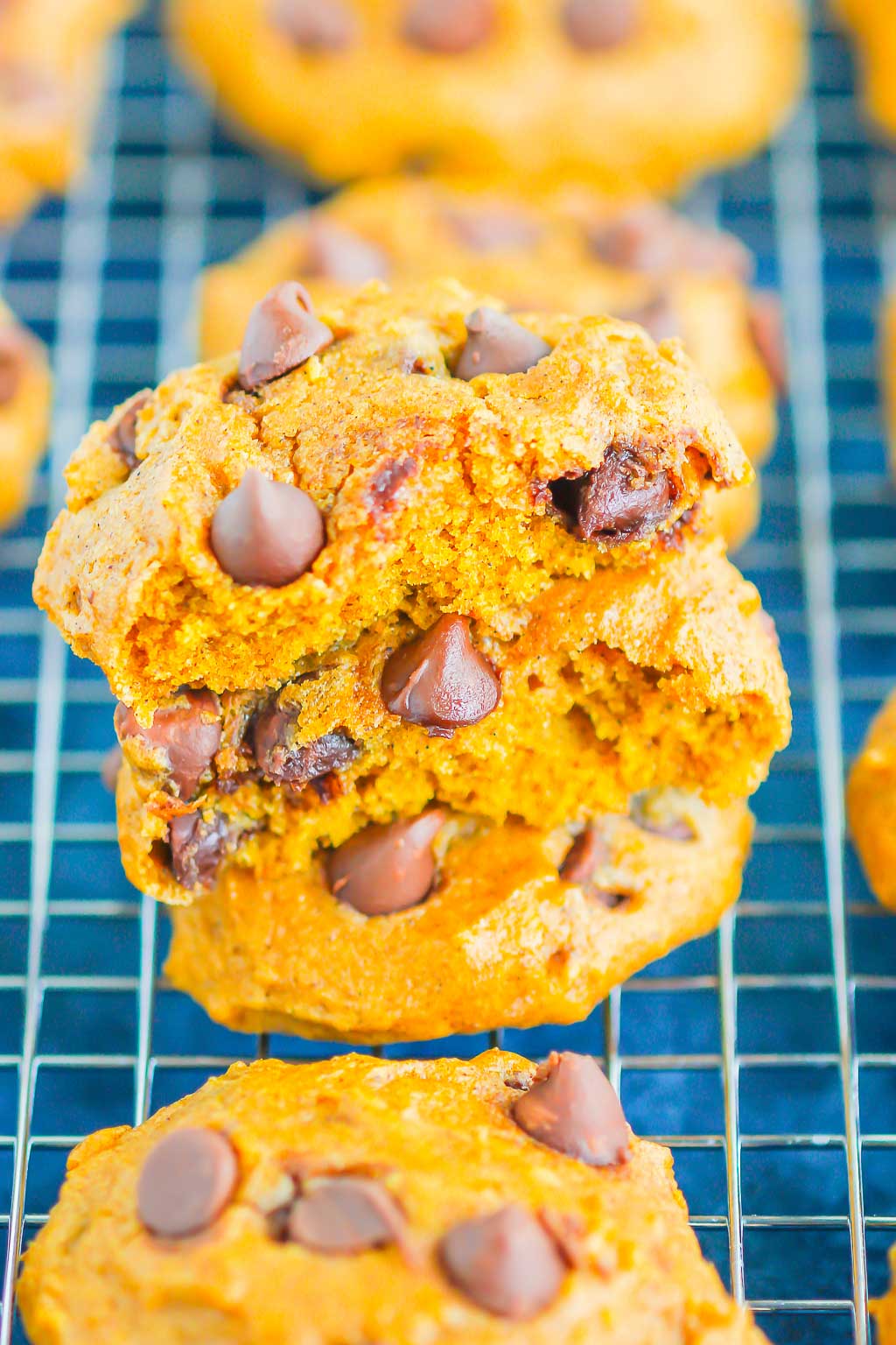 Pumpkin Chocolate Chip Cookies are an easy, one bowl recipe that's ready in no time. These cookies bake up soft and cakey, with hints of pumpkin and sweet chocolate. It's the perfect combination for an autumn sweet treat! #cookies #pumpkincookies #pumpkinchocolatechipcookies #pumpkindessert #falldessert #pumpkinrecipe