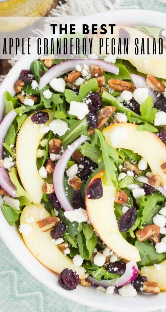 This Apple Cranberry Pecan Salad with Honey Cider Vinaigrette is sweet, savory, and comes together in minutes. Featuring fall-inspired ingredients, such as fresh apple slices, dried cranberries, red onion, pecans, and feta, this salad is full of flavor and makes a healthier lunch or dinner! #salad #saladrecipes #fallsalads #fallsaladrecipes #applesalad #healthysalad #healthysaladrecipes #healthysidedish #recipe