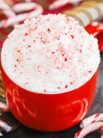 You're going to fall in love with how easy and delicious this Peppermint Cheesecake Dip recipe is to make. It’s a bright and refreshing dessert option for your holiday table. This treat mixes up in minutes and will be a hit with everyone! #peppermint #peppermintdip #peppermintcheesecake #peppermintcheesecakedip #candycanedip #dessert #christmasdessert #holidaydessert