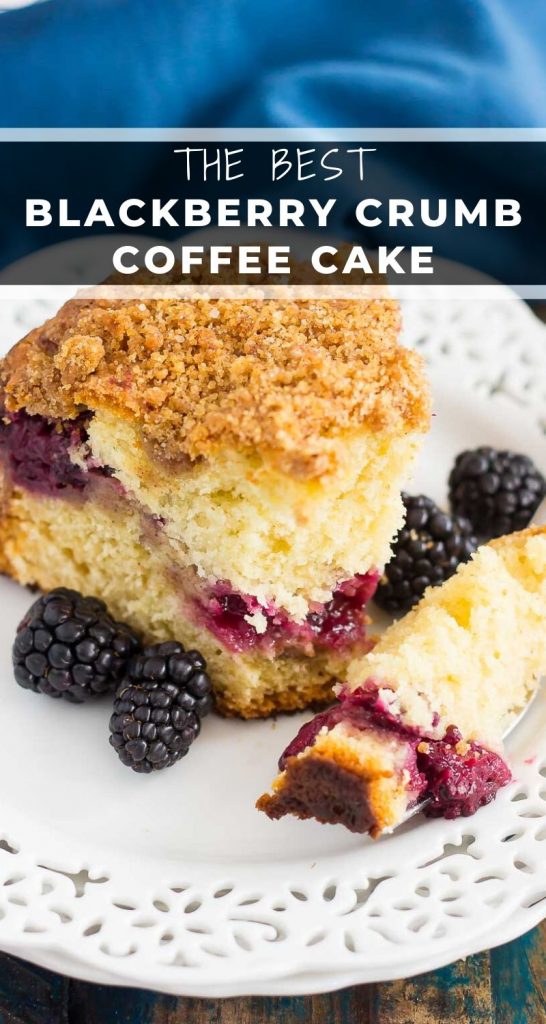 This Blackberry Crumb Coffee Cake features a soft and moist cake, filled with a layer of cinnamon streusel and juicy blackberries. Sprinkled with a crumb topping and baked until golden, this coffee cake makes a delicious breakfast or light dessert! #cake #coffeecake #coffeecakerecipe #blackberrycoffeecake #crumbcake #crumbcakerecipe #cakerecipe #dessert #breakfast