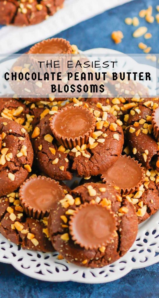 This fun spin on Chocolate Peanut Butter Blossoms adds even more chocolate and peanut butter flavor in every bite. This easy cookie recipe is soft, chewy, and all around delicious! #cookies #chocolatecookies #peanutbuttercookies #peanutbutterblossoms #blossomcookies #cookierecipe #holidaycookies #christmascookies #dessert