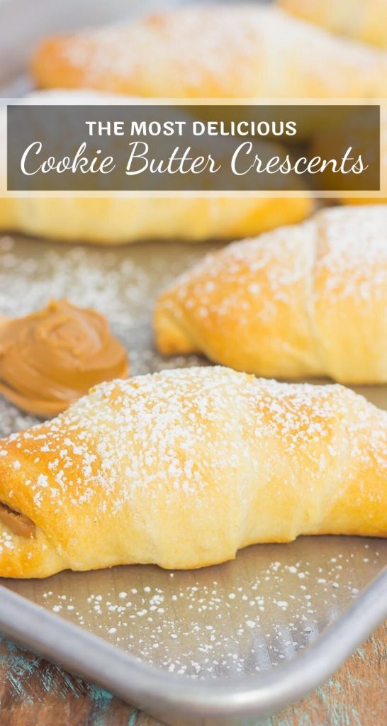 Creamy cookie butter, layered on buttery crescent rolls and topped with chocolate chips creates these decadent Chocolate Cookie Butter Crescents! #cookiebutter #cookiebuttercrescents #cookiebutterrolls #cookiebutterdessert #chocolatedessert #easydessert