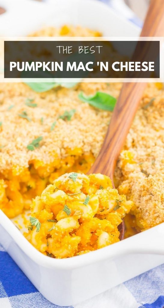 Pumpkin Macaroni and Cheese