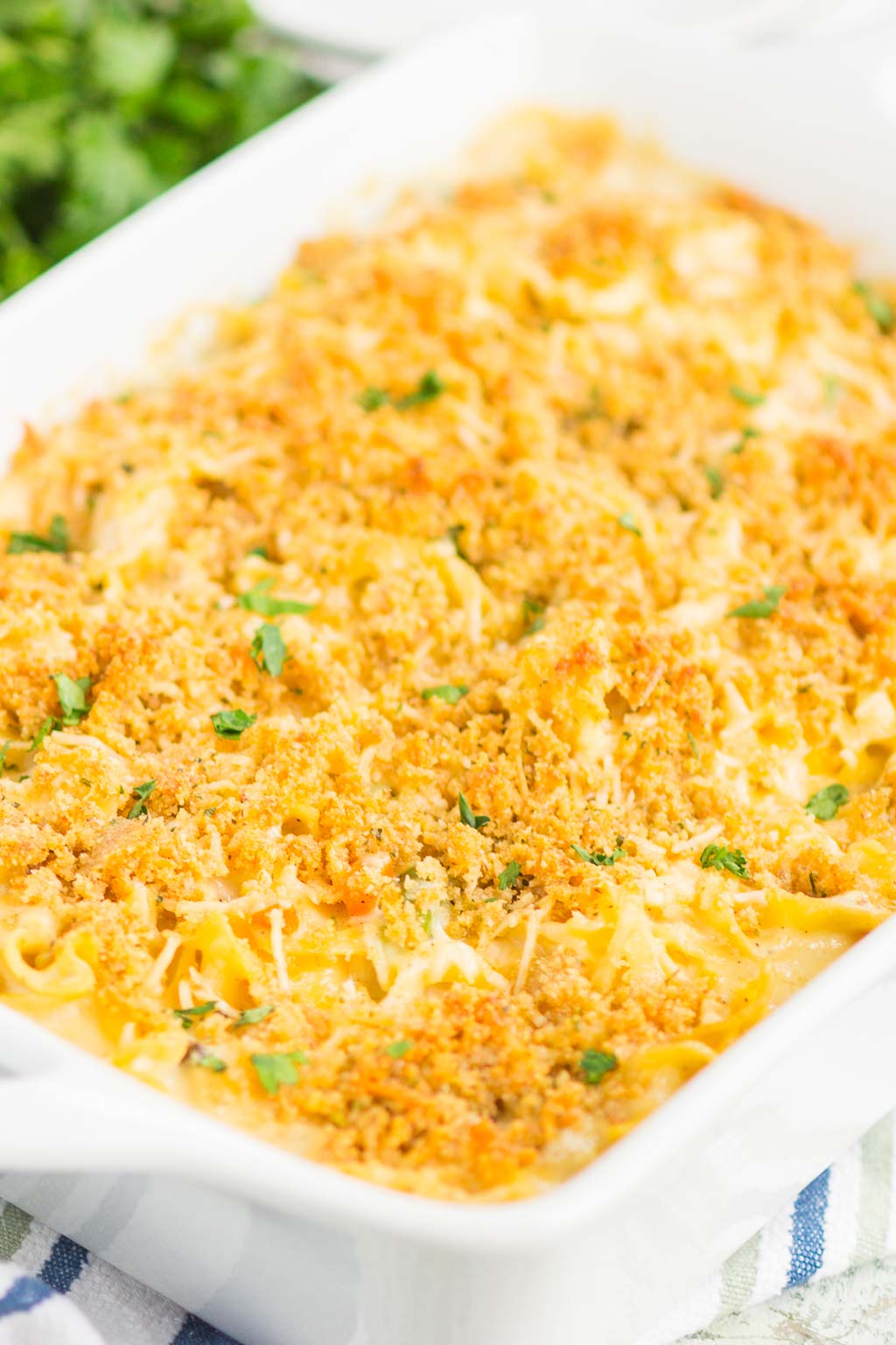 A close up view of a cheesy chicken and noodle casserole. 