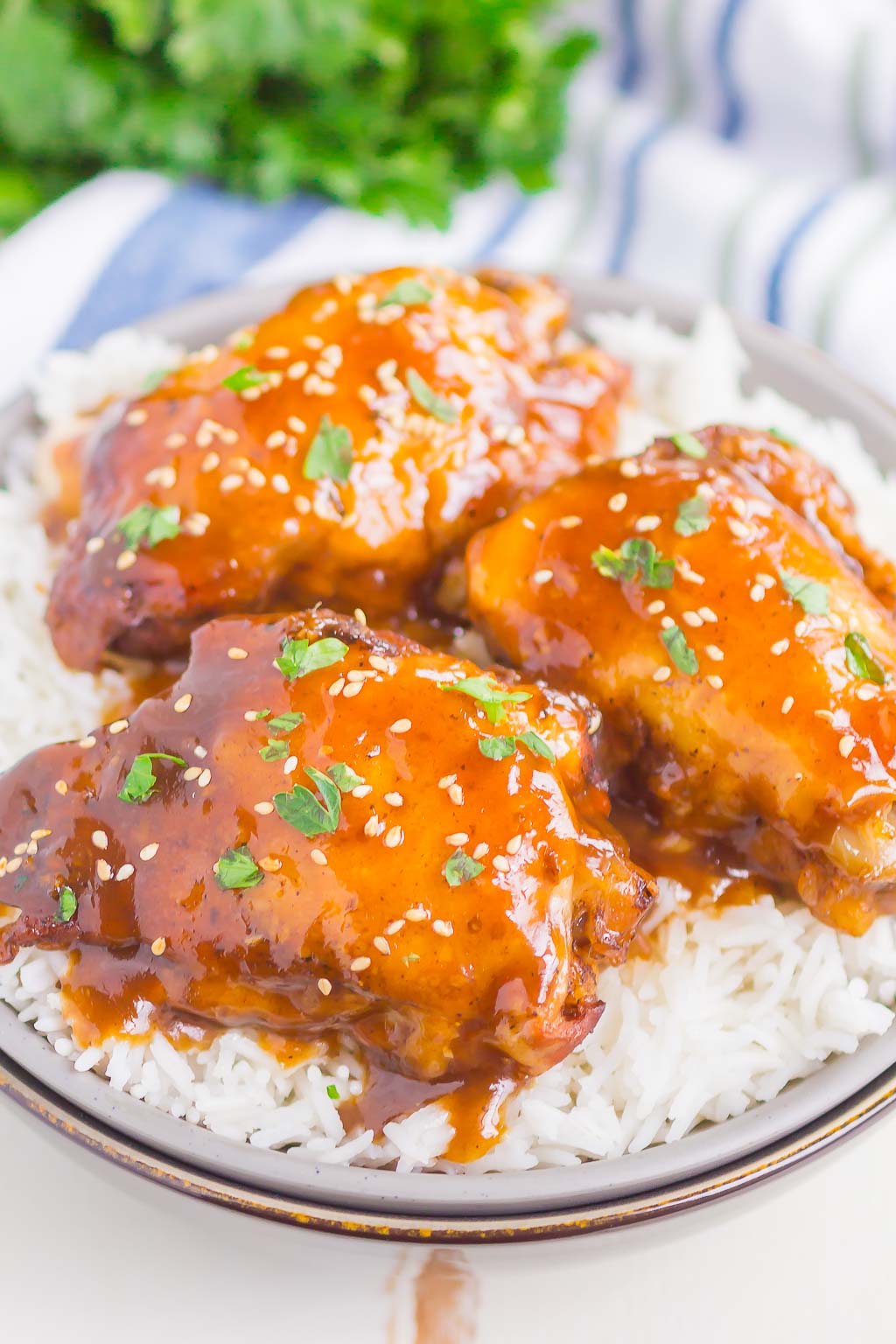 Slow Cooker Teriyaki Chicken