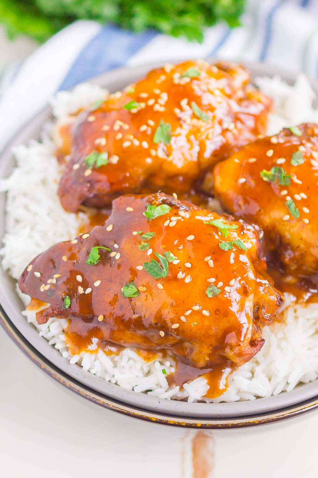 Slow Cooker Teriyaki Chicken