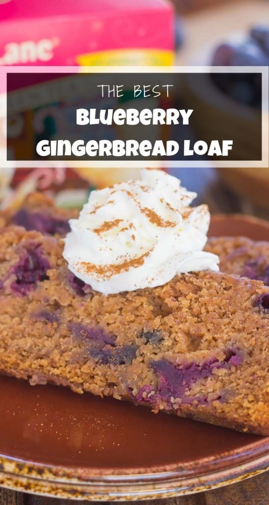 Blueberry Gingerbread Loaf