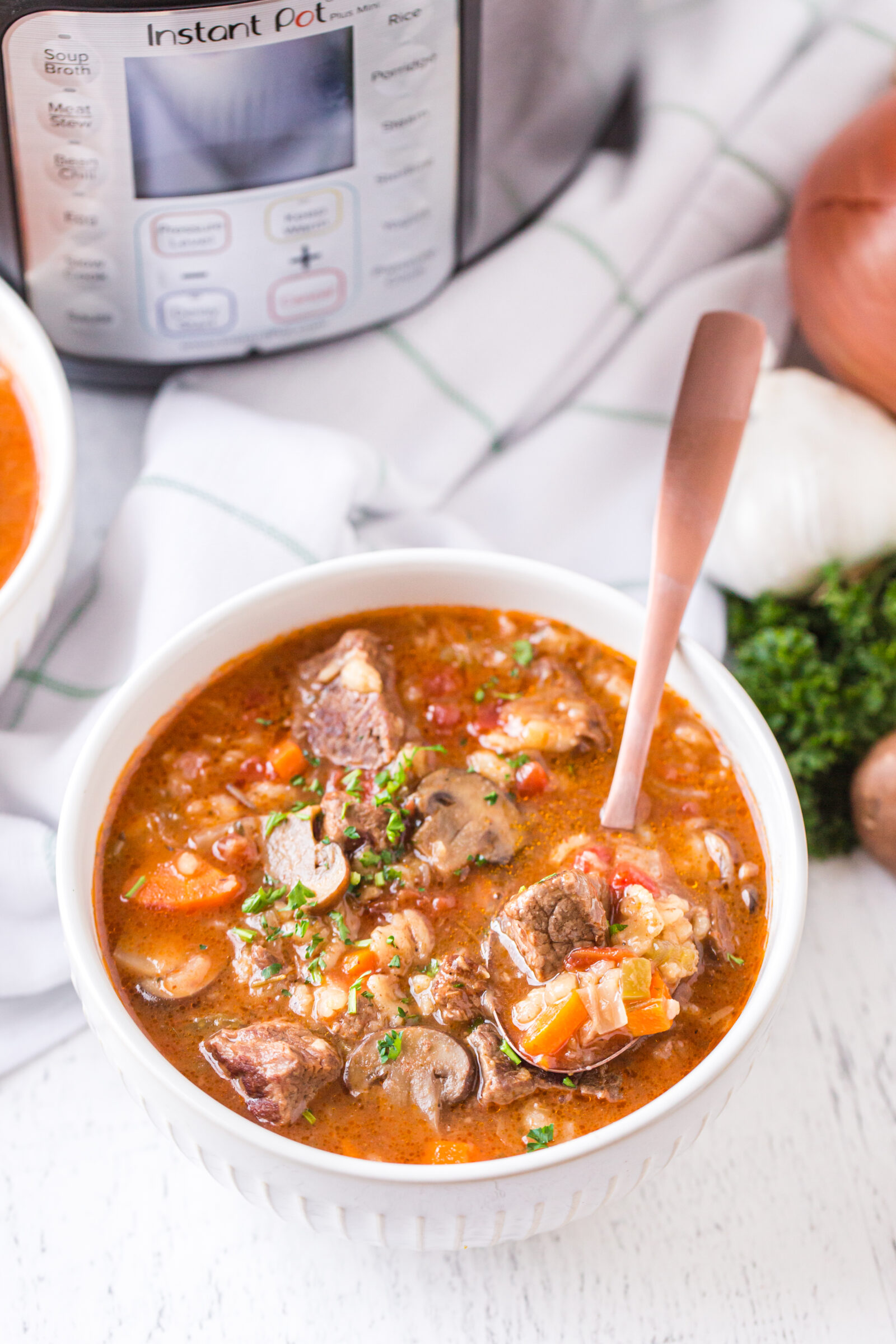 Instant Pot Beef and Barley Soup