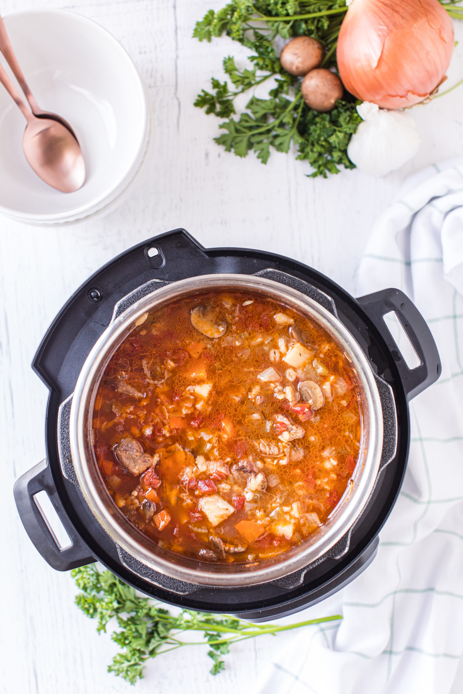 Instant Pot Beef and Barley Soup