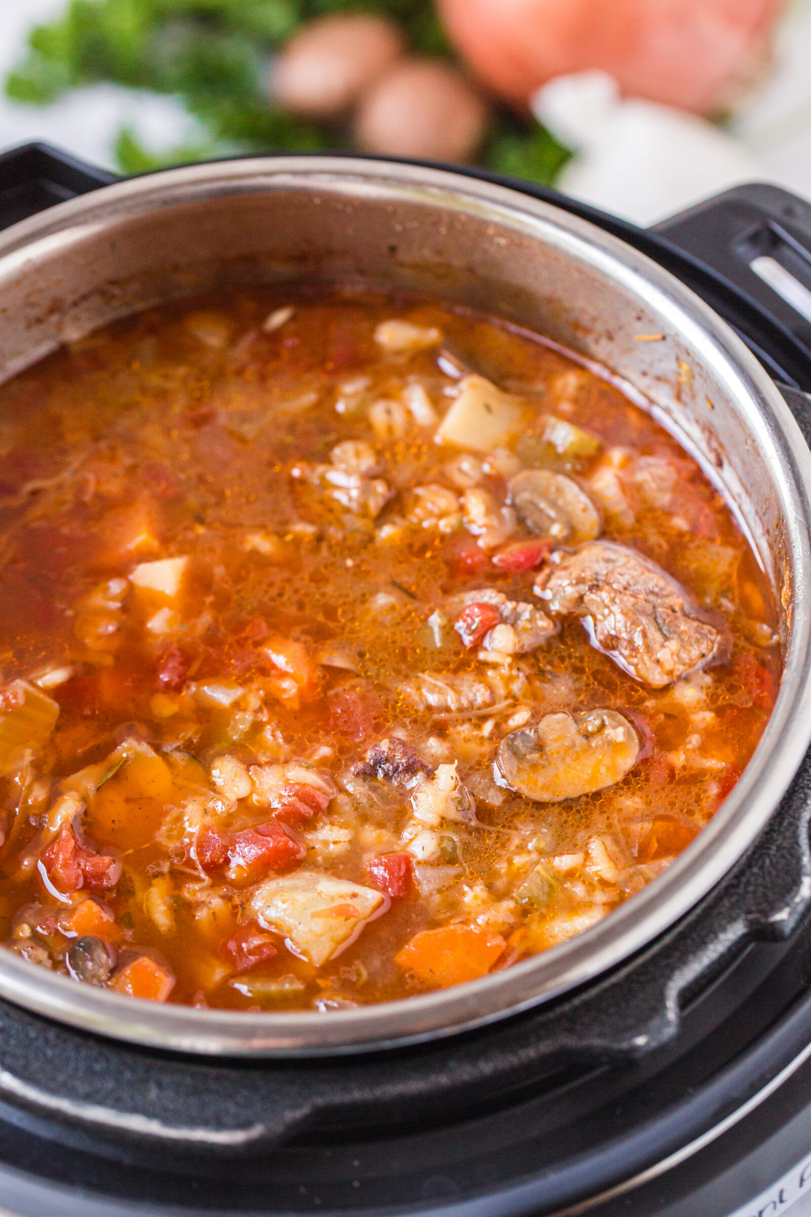 Instant Pot Beef and Barley Soup