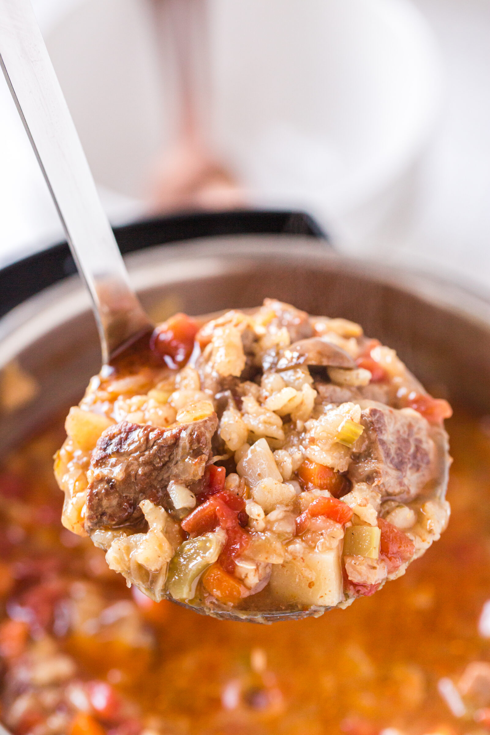 Instant Pot Beef and Barley Soup