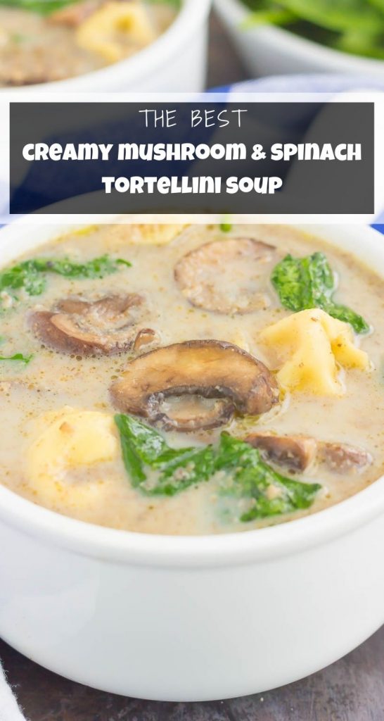 Creamy Mushroom Spinach Tortellini Soup