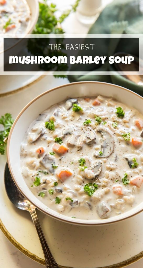 mushroom soup in bowl