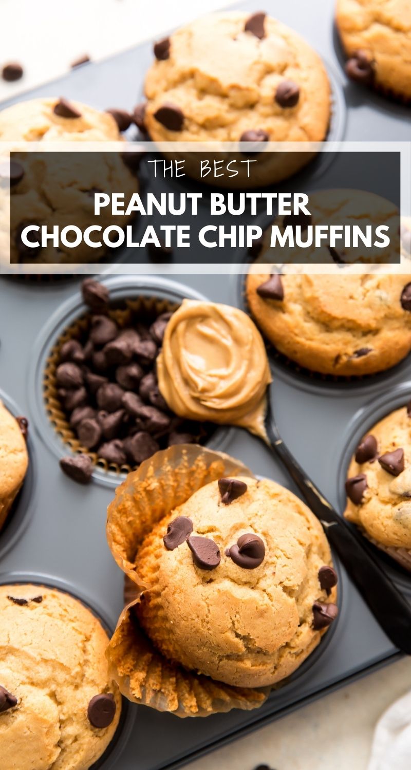 Peanut Butter Chocolate Chip Muffins Pumpkin 'N Spice
