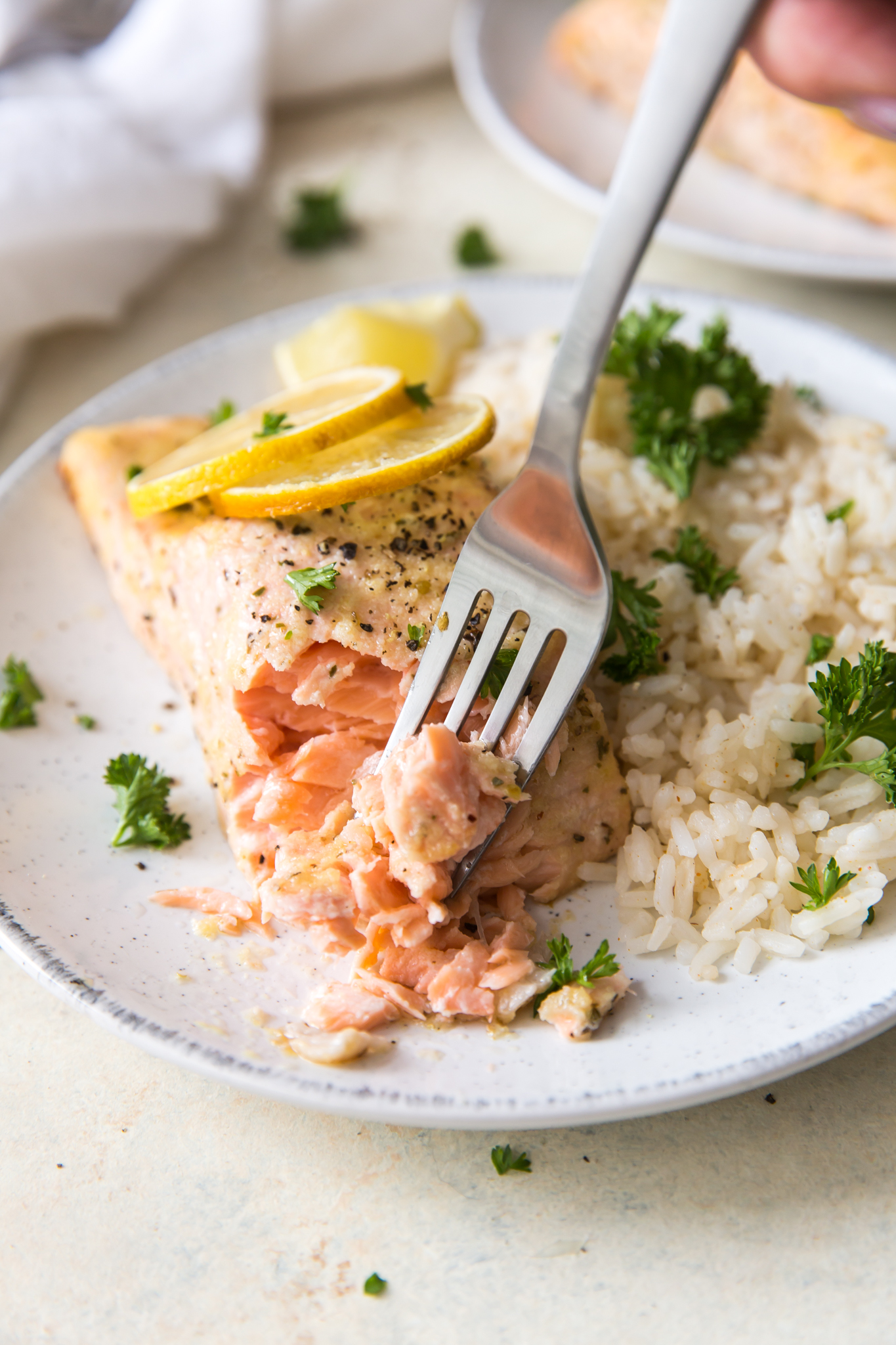 salmon on plate