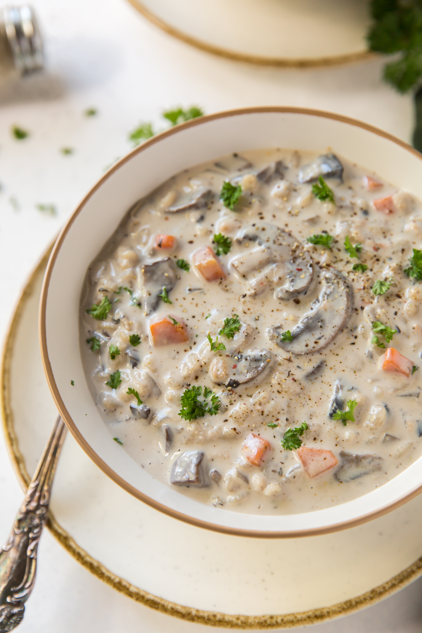 A bowl of creamy mushroom soup with barley. 