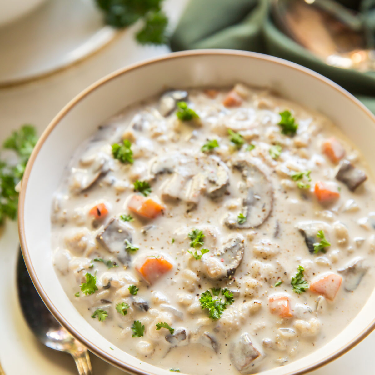 A bowl of mushroom barley soup.