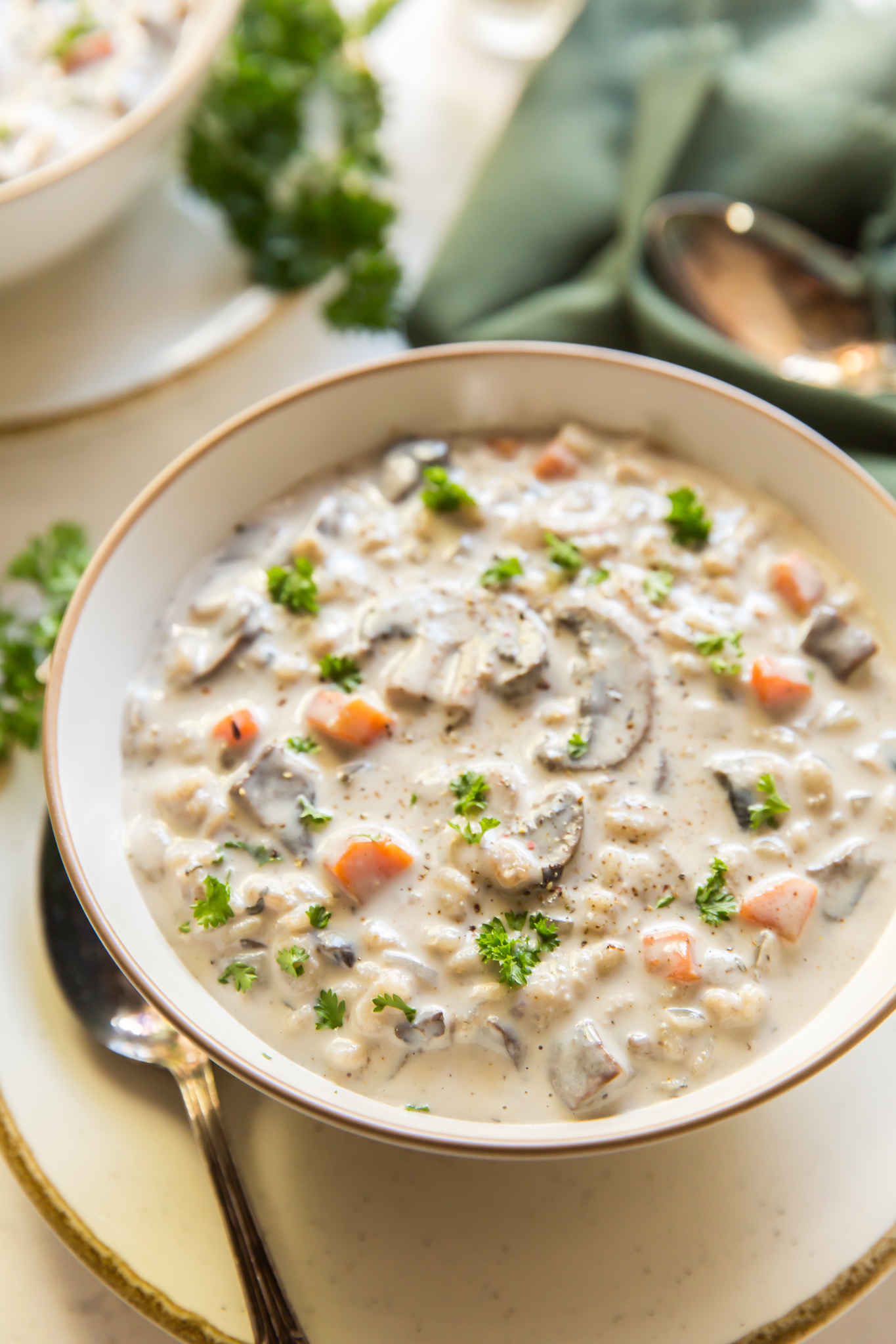 A bowl of mushroom barley soup. 