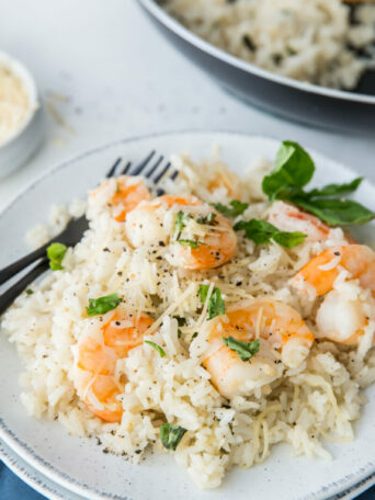 shrimp and rice on plate