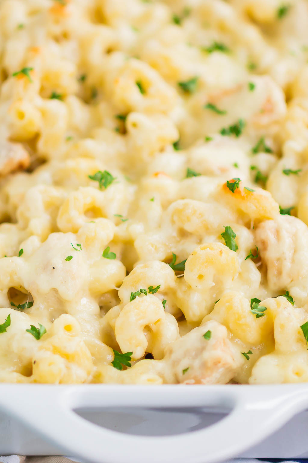 A baking dish of chicken alfredo pasta bake. 