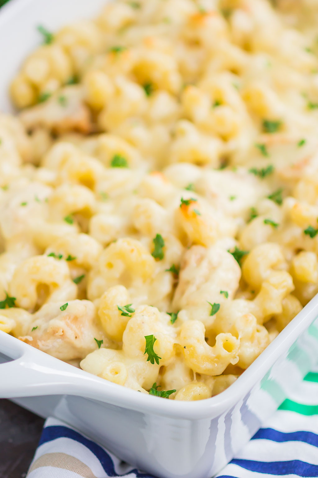 Cheesy chicken alfredo casserole in a white baking dish. 