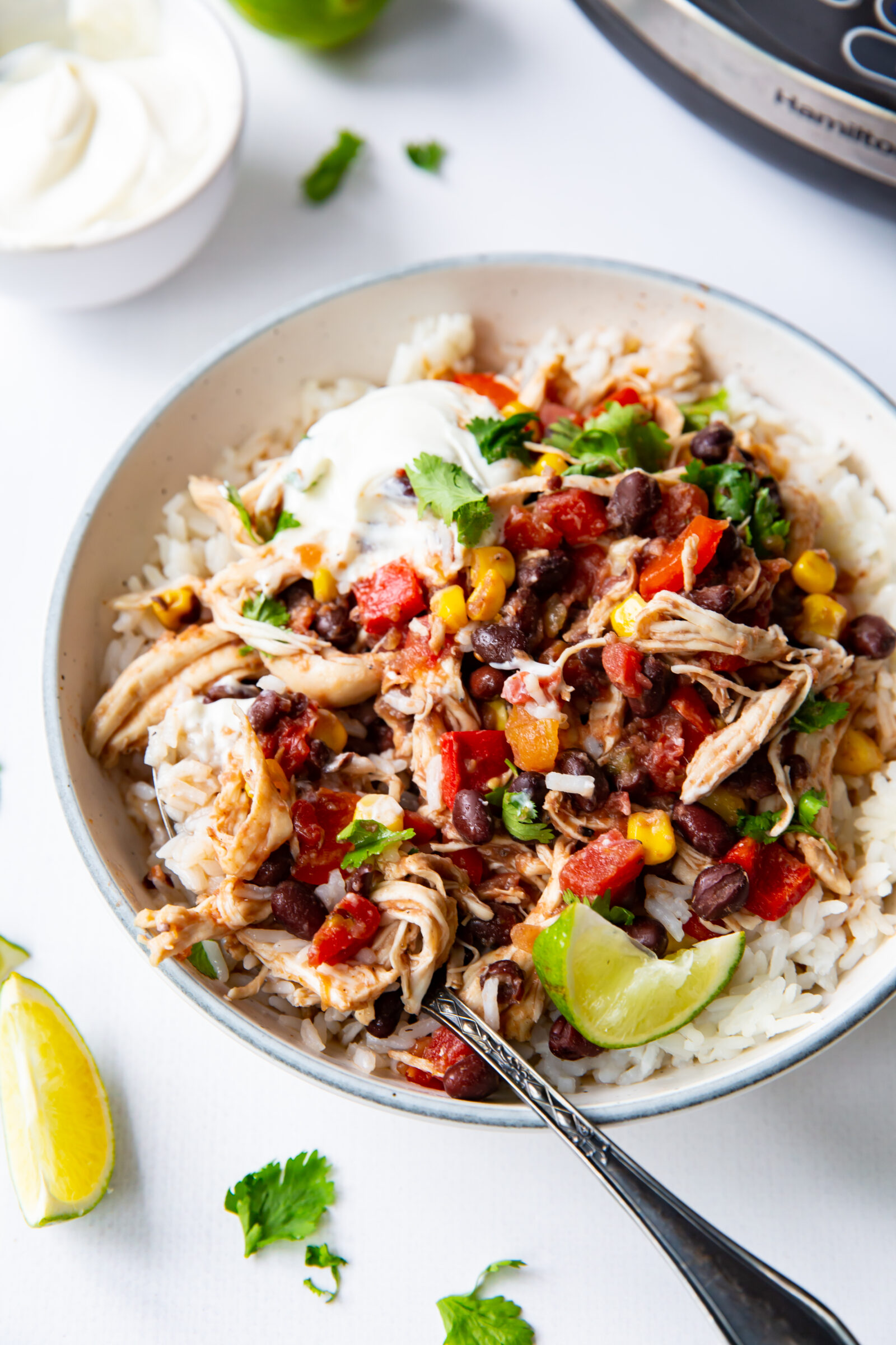 Southwest chicken and rice in a large white bowl. 