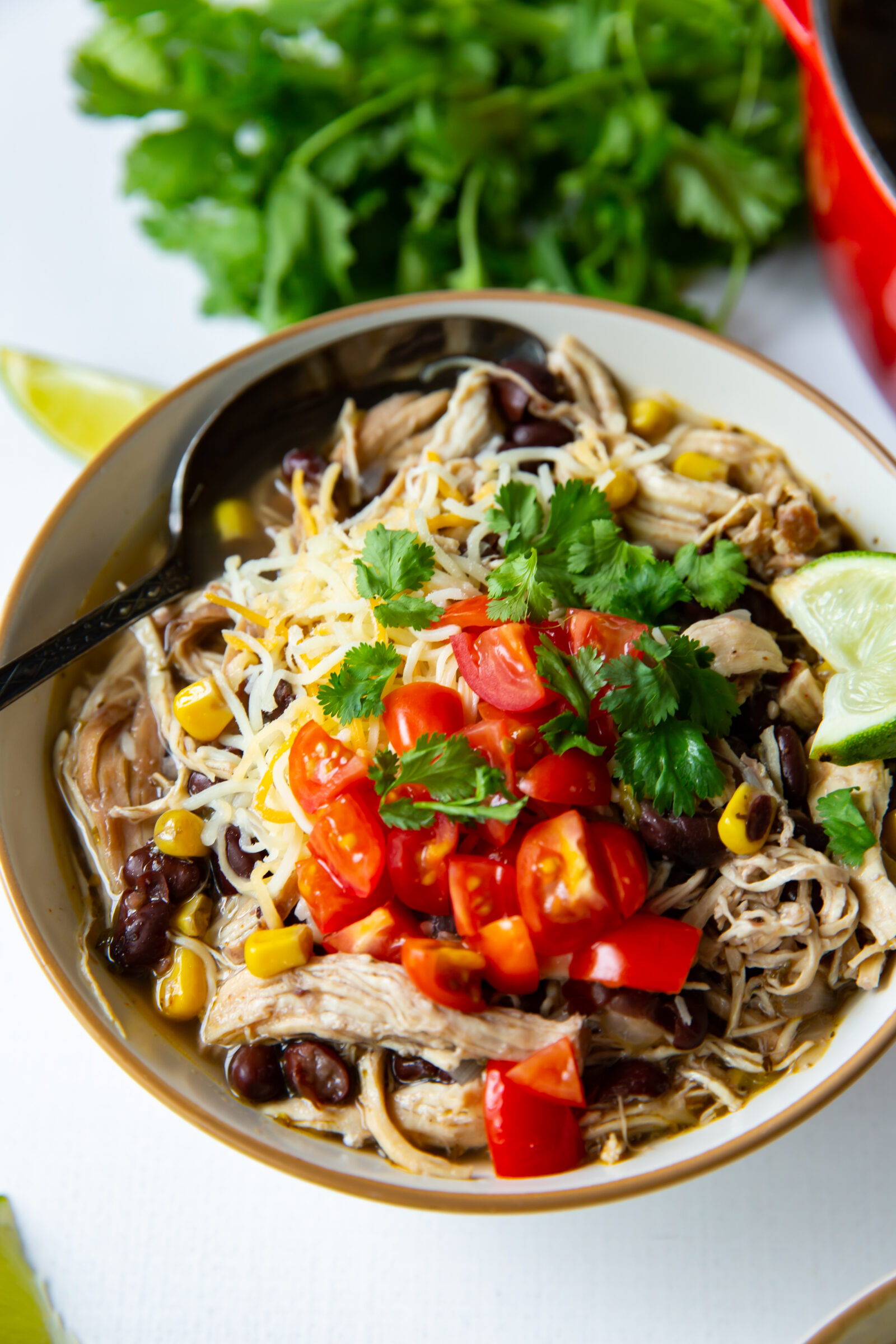 A bowl of black bean chicken chili garnished with cilantro, diced tomatoes, and cheese. 