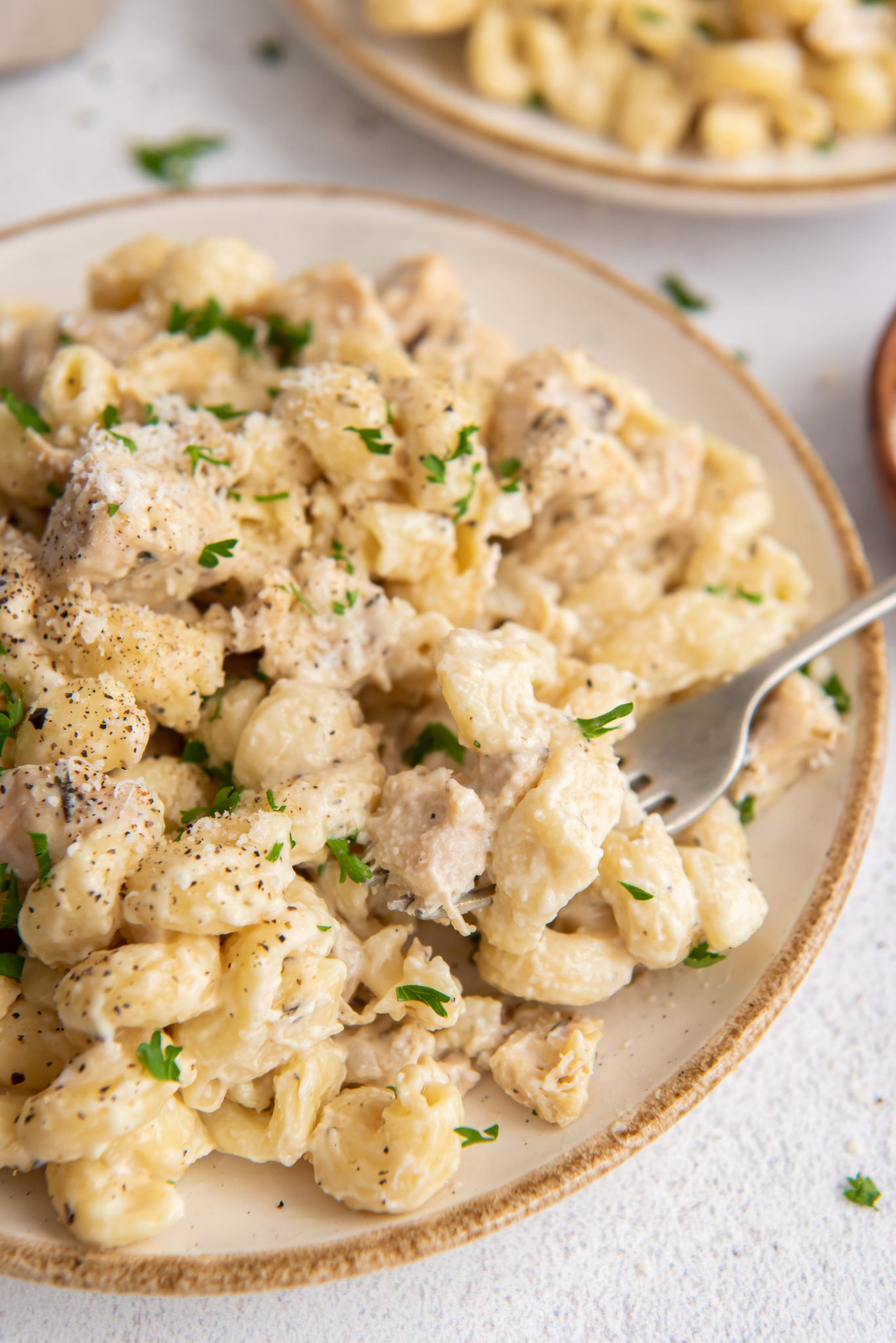 Close up view of a plate of creamy garlic chicken pasta with a fork.