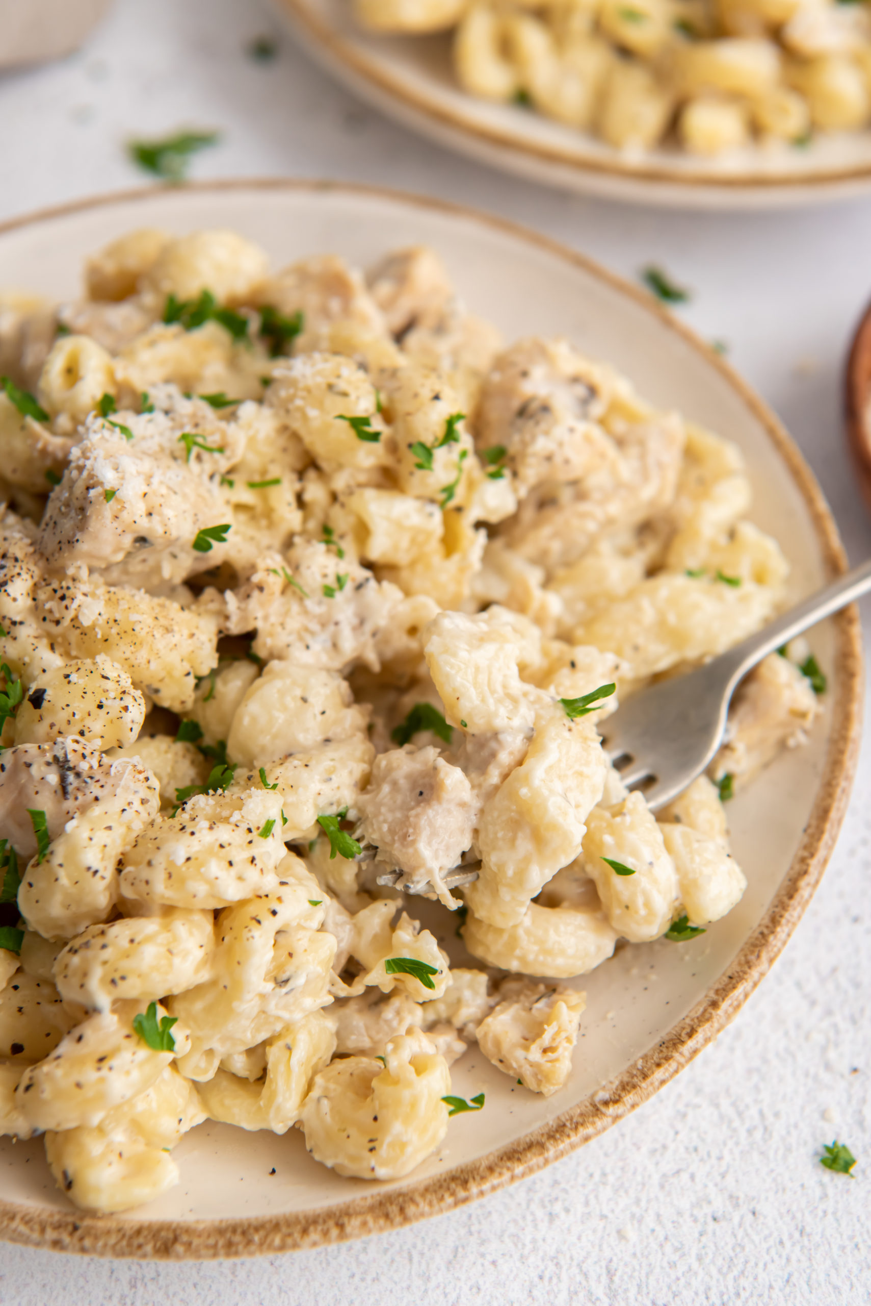Close up view of a plate of creamy garlic chicken pasta with a fork. 