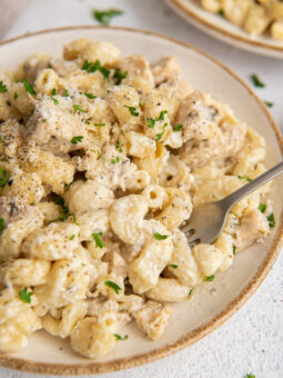 pasta on a white plate