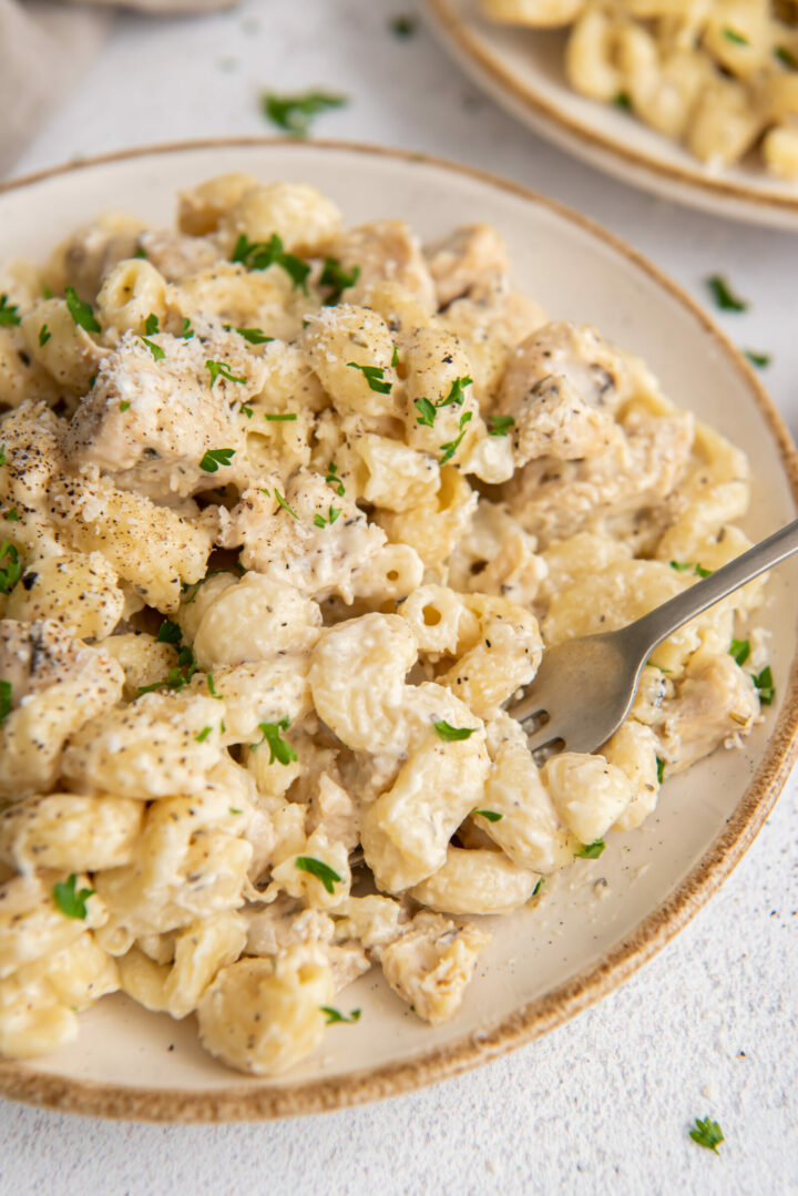 pasta on a white plate