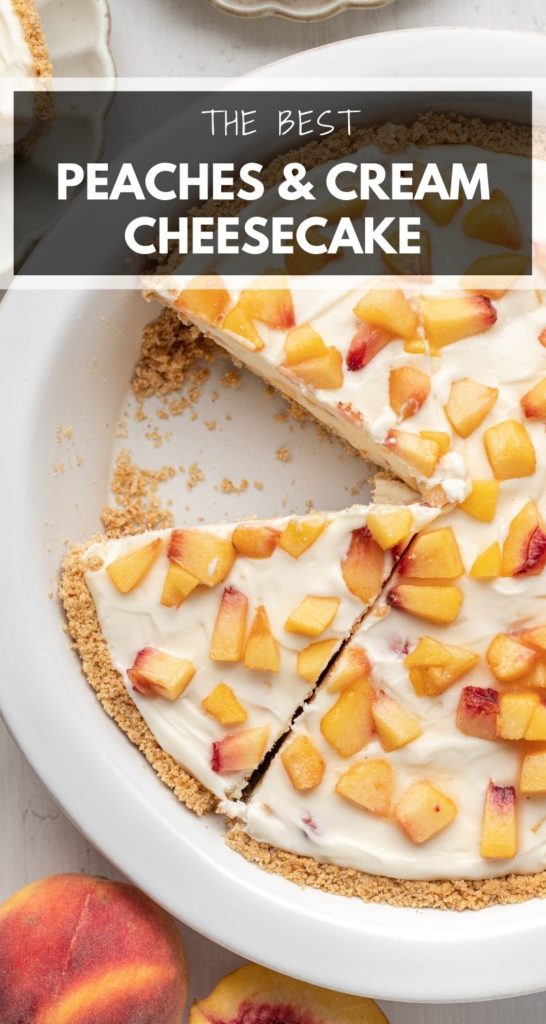 cheesecake in a white pie plate